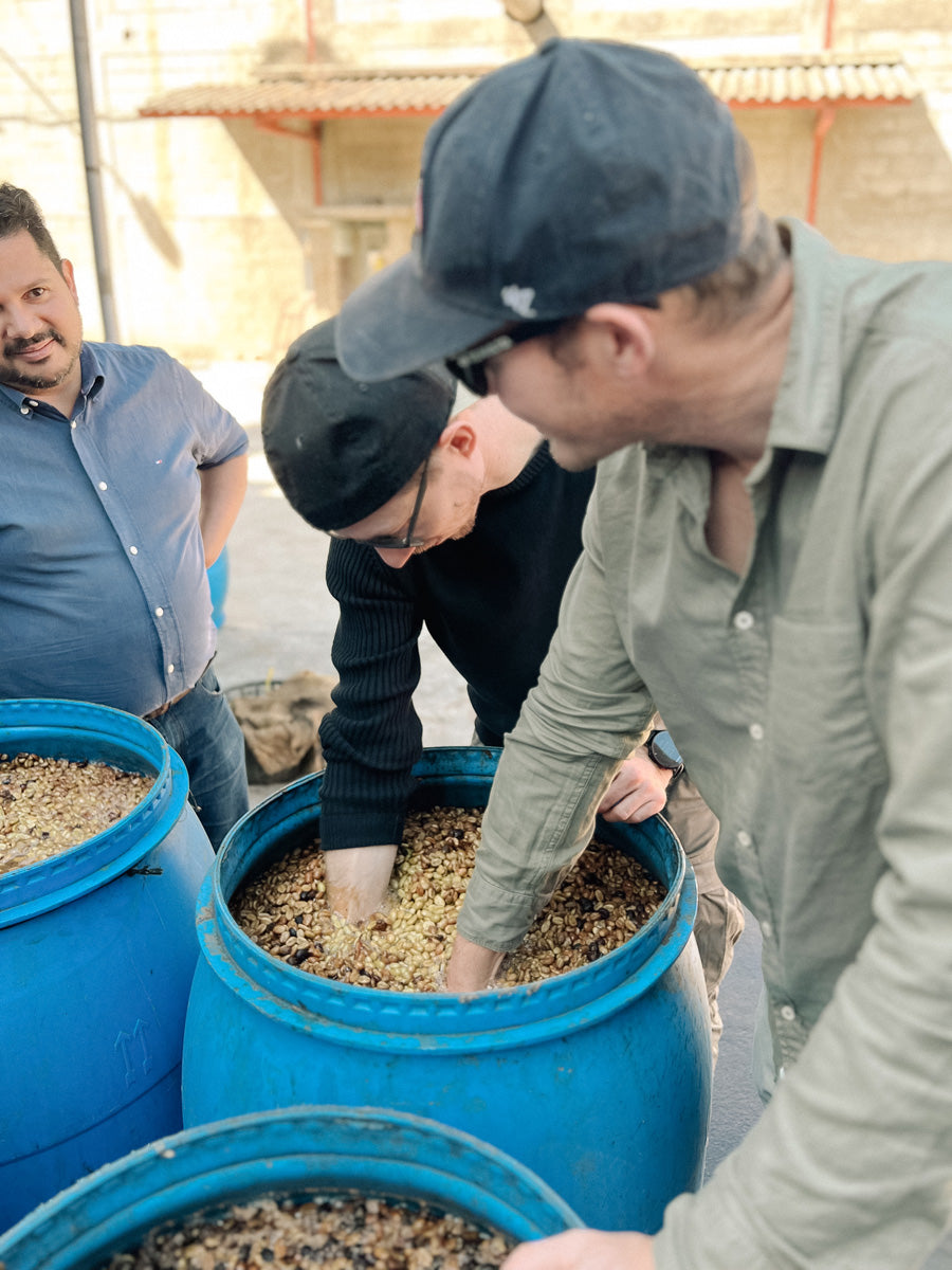 wildkaffee-oesterreich-farm-to-cup